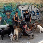 Promeneurs de chiens.השמרכלבים הכי קולים בעיר